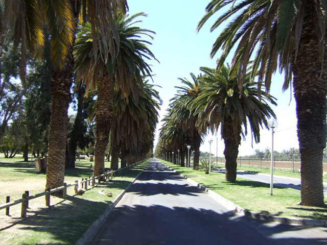 Upington Resort Accommodation - Die Eiland Holiday Resort