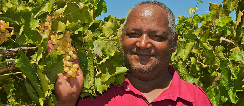 Agriculture, Farming & Local Production Business in Upington area - Eksteenskuil Agricultural Co-operative