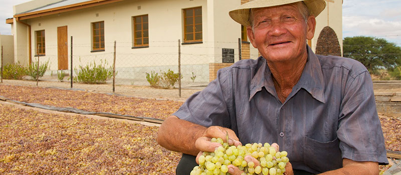 Agriculture, Farming & Local Production Business in Upington area - Eksteenskuil Agricultural Co-operative