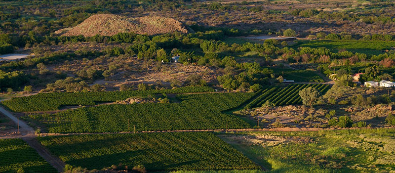 Agriculture, Farming & Local Production Business in Upington area - Eksteenskuil Agricultural Co-operative