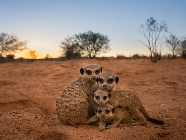 Attraction in Upington - Kalahari Red Dune Route