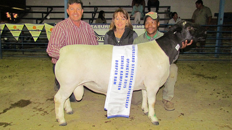 Agriculture & Farming in Upington - Nooitgedacht Dorperstoet