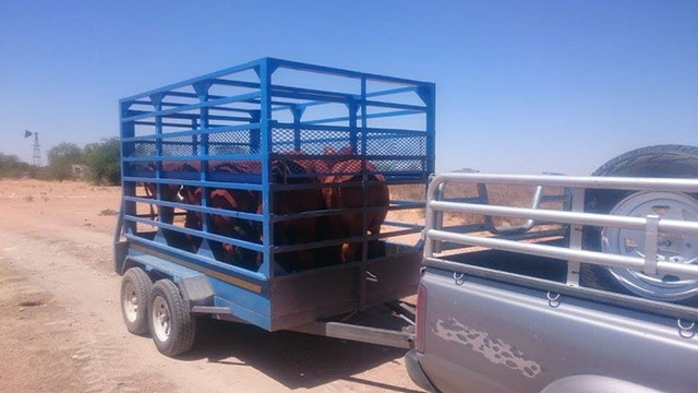 Hiring Business in Upington - Hireman Tool & Traoiler Hire Logo