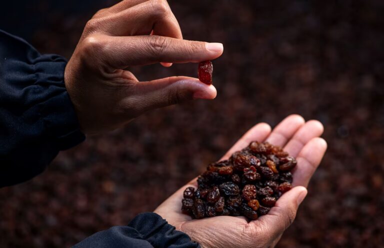 Carpe Diem Raisins - Raisin Processor and Exporter in Upington